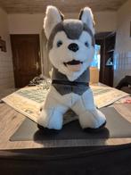 grote huskey knuffel, Kinderen en Baby's, Speelgoed | Knuffels en Pluche, Ophalen of Verzenden, Zo goed als nieuw, Hond