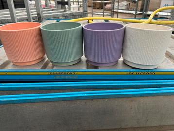 Bloempotten - pastelkleure beschikbaar voor biedingen