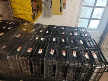 Casi nature bakken  beschikbaar voor biedingen