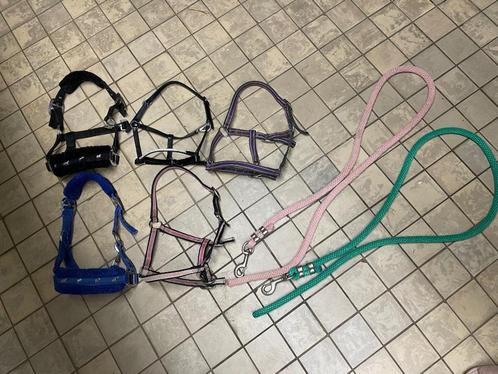 Halsters, Dieren en Toebehoren, Paarden en Pony's | Hoofdstellen en Tuigage, Zo goed als nieuw, Overige soorten, Ophalen of Verzenden