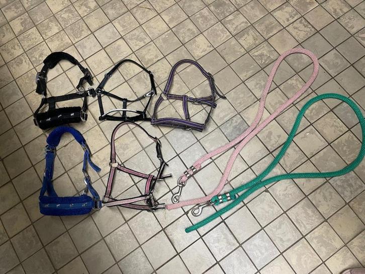 Halsters, Dieren en Toebehoren, Paarden en Pony's | Hoofdstellen en Tuigage, Zo goed als nieuw, Overige soorten, Ophalen of Verzenden