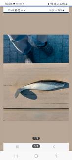 Shads 12 cm voor roofvis., Sports nautiques & Bateaux, Pêche à la ligne | Pêche en mer, Enlèvement