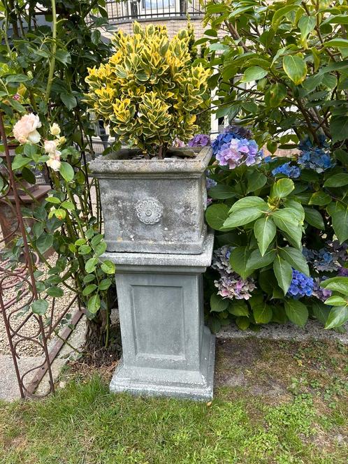 Betonnen bloembakken met kunststof zuil gratis plant 2 x, Antiek en Kunst, Curiosa en Brocante, Ophalen