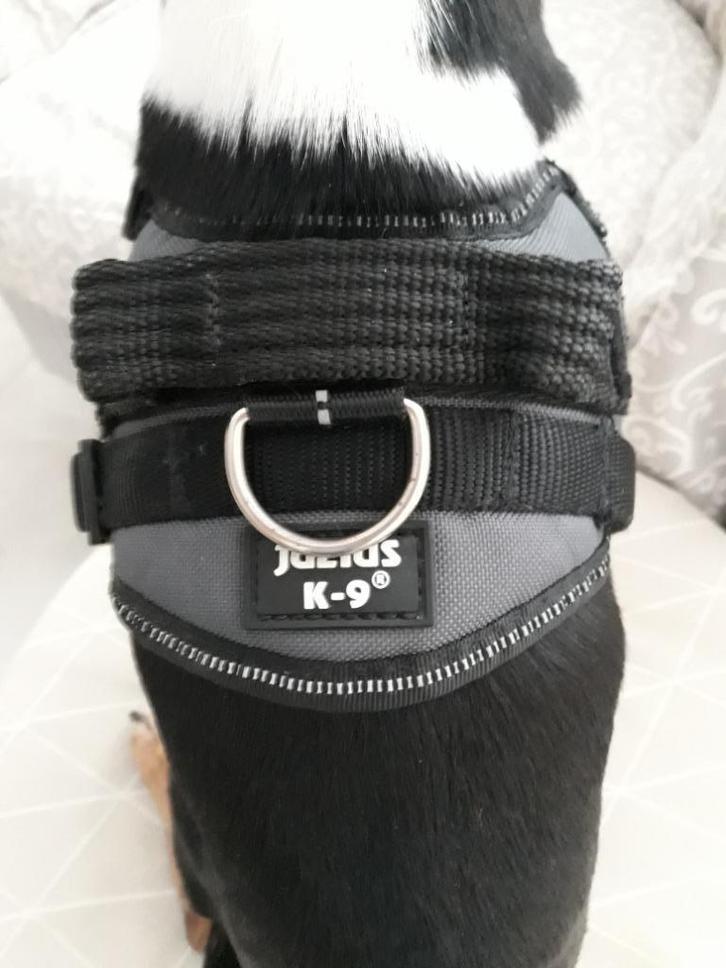 Harnais couleur gris foncé et noir de marque Julius K-9, Dieren en Toebehoren, Hondenriemen, Nieuw, Hondenriem-accessoire, Ophalen