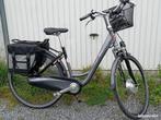 THOR BIKE elektrische fiets, Fietsen en Brommers, Ophalen, Gebruikt, 50 km per accu of meer, Overige merken