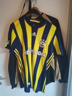 Matchworn shirt fenerbahçe Martin Škrtel, Verzamelen, Ophalen of Verzenden, Zo goed als nieuw, Shirt