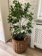 Kunstplant met pot, Huis en Inrichting, Ophalen, Zo goed als nieuw