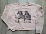 Sweater H&M paarden roze maat 146 / 152, Kinderen en Baby's, Kinderkleding | Maat 164, Meisje, Trui of Vest, Ophalen of Verzenden