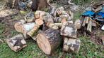 Abattage d'arbres/enlèvement des arbres tombés, Jardin & Terrasse, Plantes | Arbres, Enlèvement ou Envoi