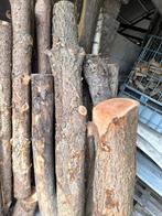 Hout voor draaibank, Ophalen, Stammen