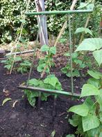 planter voor porei, Ophalen of Verzenden, Vollegrondsgroente