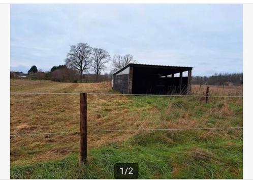 Weide te huur in houtem/ Vilvoorde, Dieren en Toebehoren, Stalling en Weidegang