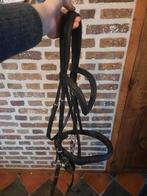 Kieffer zwart hoofdstel full, Enlèvement