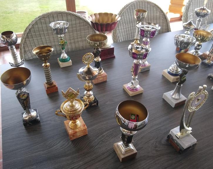 Trofeeën/wedstrijdbekers/prijsbekers/awards - zo goed als ni, Hobby en Vrije tijd, Overige Hobby en Vrije tijd, Zo goed als nieuw