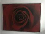 Canvas ikea rood roos, Huis en Inrichting, Woonaccessoires | Schilderijen, Tekeningen en Foto's, Zo goed als nieuw, Ophalen