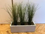 plantenbak polyester wit met 3 valse planten, Tuin en Terras, Ophalen, Tuin, Kunststof, Minder dan 30 cm