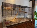 Cage pour rongeurs, Animaux & Accessoires, Rongeurs & Lapins | Cages & Clapiers, 90 cm ou plus, Rat, Cage, Comme neuf