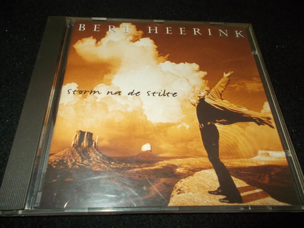 CD - BERT HEERINK - Storm na de stilte - 1995, CD & DVD, CD | Néerlandophone, Enlèvement, Comme neuf, Rock
