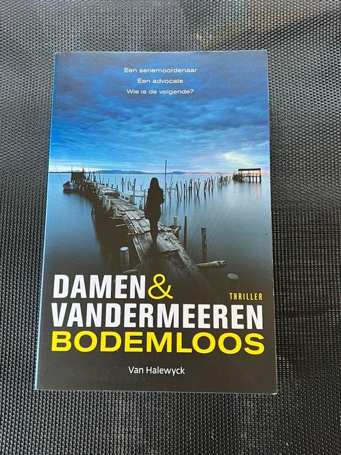 Damen & Vandermeeren - Bodemloos, Livres, Thrillers, Enlèvement ou Envoi