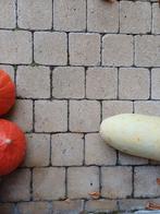 Klinkers, Tuin en Terras, Ophalen