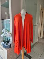 JOSEPH RIBKOFF, Kleding | Dames, Truien en Vesten, Ophalen of Verzenden, Zo goed als nieuw, Maat 36 (S)