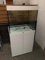 Aquarium Juwel Lido 200 blanc pas led! Avec meuble, 2 pompes, Enlèvement, Utilisé, Aquarium vide