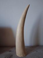 Slagtand met olifantjes, Antiek en Kunst, Ophalen of Verzenden