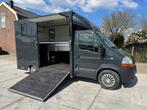 Renault Master 2 paards paardenwagen, Dieren en Toebehoren, Paarden en Pony's | Trailers en Aanhangwagens, Ophalen, Gebruikt, 2-paards trailer