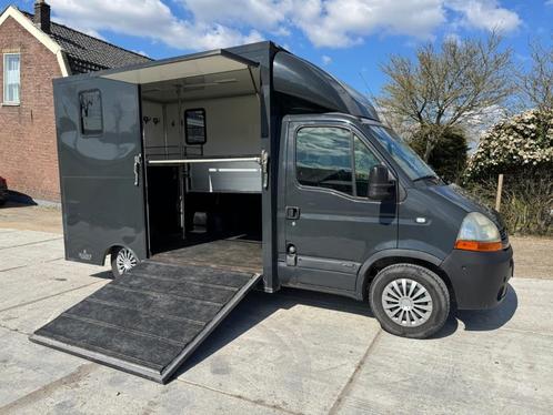 Renault Master 2 paards paardenwagen, Dieren en Toebehoren, Paarden en Pony's | Trailers en Aanhangwagens, Gebruikt, 2-paards trailer