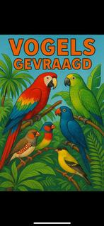 Vogels gevraagd, Dieren en Toebehoren