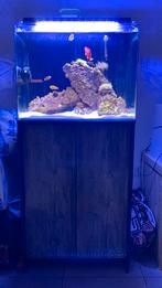 Zeeaquarium 120l, Dieren en Toebehoren, Ophalen, Zo goed als nieuw