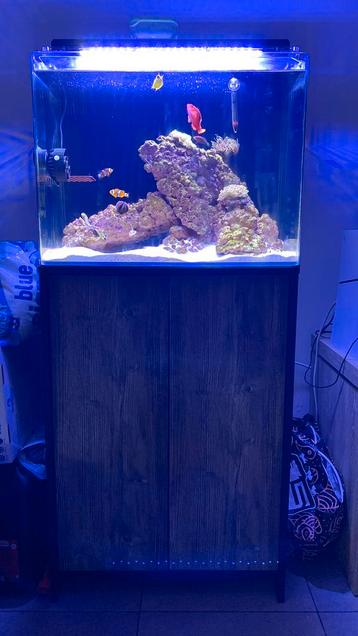 Zeeaquarium 120l beschikbaar voor biedingen