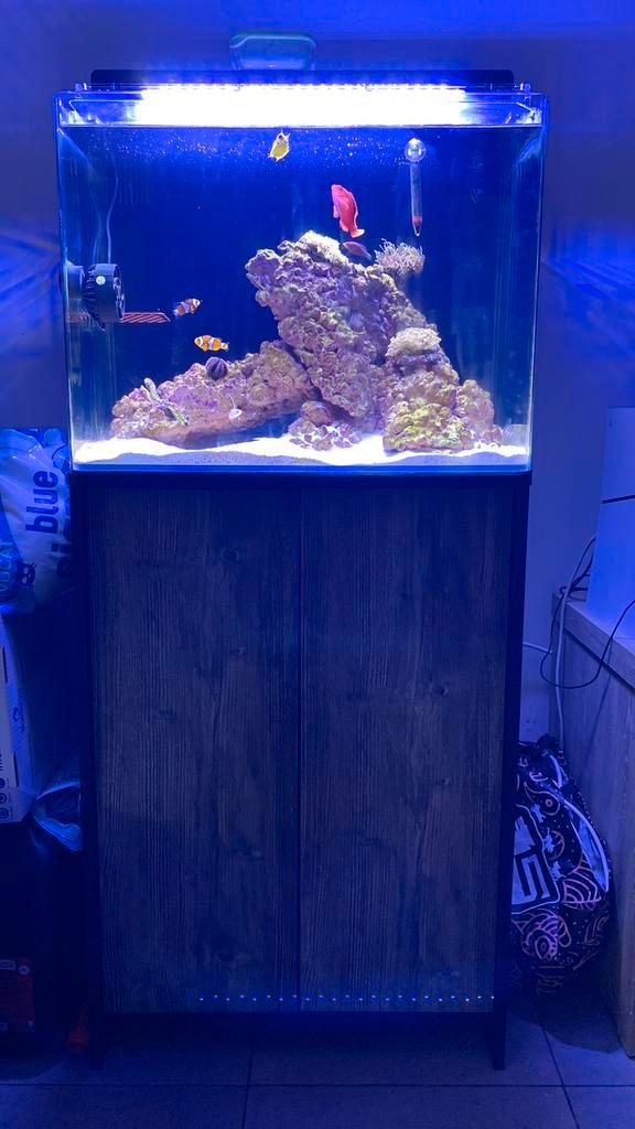 Zeeaquarium 120l, Dieren en Toebehoren, Vissen | Aquaria en Toebehoren, Zo goed als nieuw, Ophalen