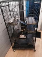 Cage rongeur, Enlèvement