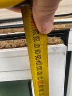 draai kiep vensters, Doe-het-zelf en Bouw, Kunststof, Gebruikt, Raamkozijn, 75 tot 150 cm