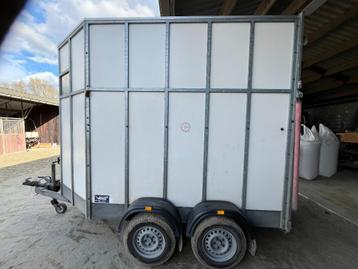 Paardentrailer Van Damme beschikbaar voor biedingen