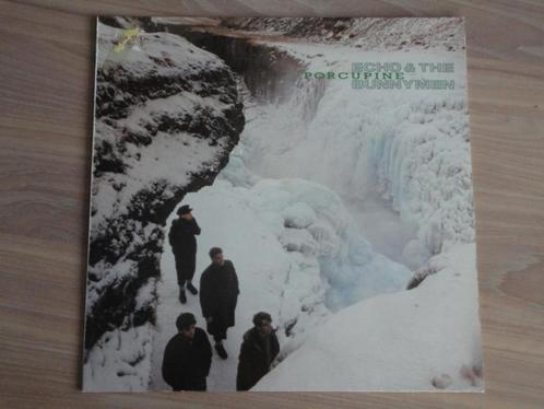 VINYL - Echo & The Bunnymen – Porcupine - LP, CD & DVD, Vinyles | Rock, Enlèvement ou Envoi