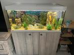 Aquarium eheim 180 liter, Dieren en Toebehoren, Vissen | Aquaria en Toebehoren, Ophalen, Gebruikt, Gevuld zoetwateraquarium