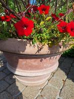 terracotta potten Ugo Poggi, Ophalen, 40 cm of meer, Tuin, Rond