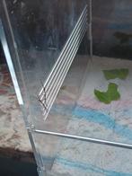 Wandelende tak baby, Dieren en Toebehoren