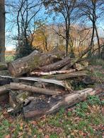 Brandhout, Tuin en Terras, Ophalen, Stammen
