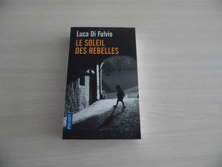 LE SOLEIL DES REBELLES        LUCA DI FULVIO, Livres, Romans, Comme neuf, Europe autre, Enlèvement ou Envoi