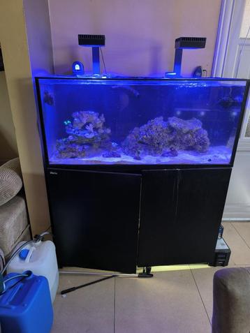 zeeaquarium losse verkoop beschikbaar voor biedingen
