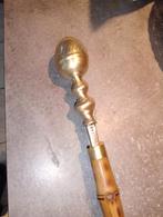 Canne, Enlèvement ou Envoi