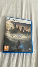 Jeu ps5 hogwarts legacy