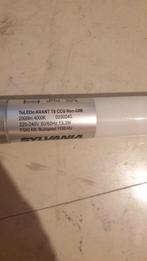 Sylvania TL LED 4000K 2000lm, Ophalen, Nieuw, Minder dan 30 watt, Led-lamp