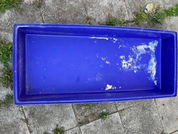 Kooi Cavia beschikbaar voor biedingen