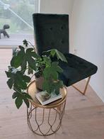 Green Velvet DIning Chairs whit Gold Legs, Huis en Inrichting, Stoelen, Ophalen, Overige materialen, Overige kleuren, Zo goed als nieuw