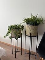 Kunstplantjes in mooie staanders, Huis en Inrichting, Ophalen, Zo goed als nieuw, Binnen
