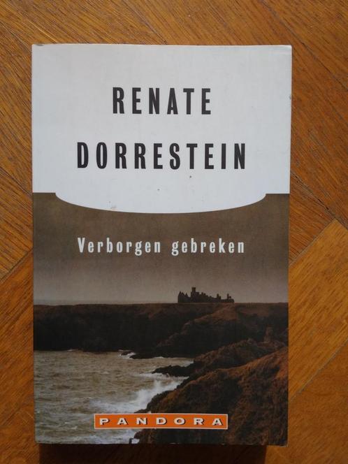 Renate Dorrestein Verborgen gebreken, Livres, Romans, Enlèvement ou Envoi